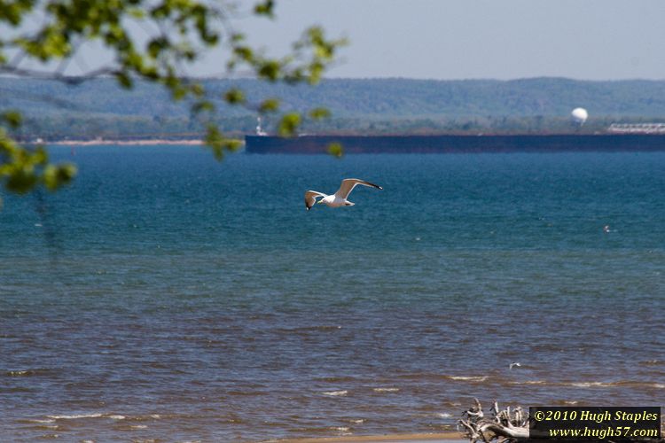 Lakeshore