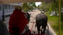 Mackinac Island