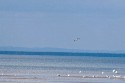 Lakeshore