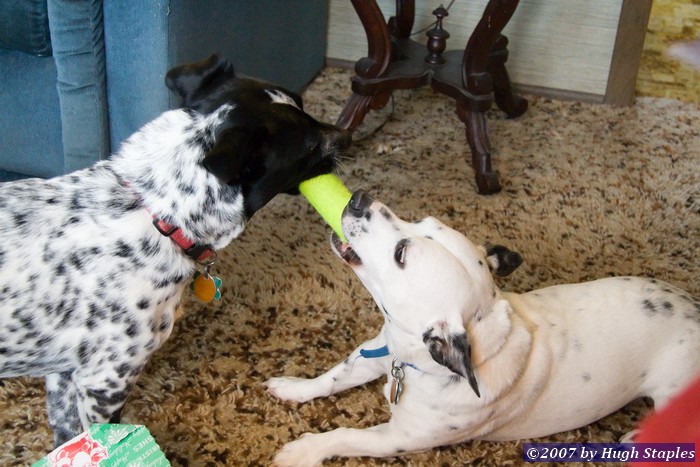 Christmas in Brimley, MI � Christmas 2007