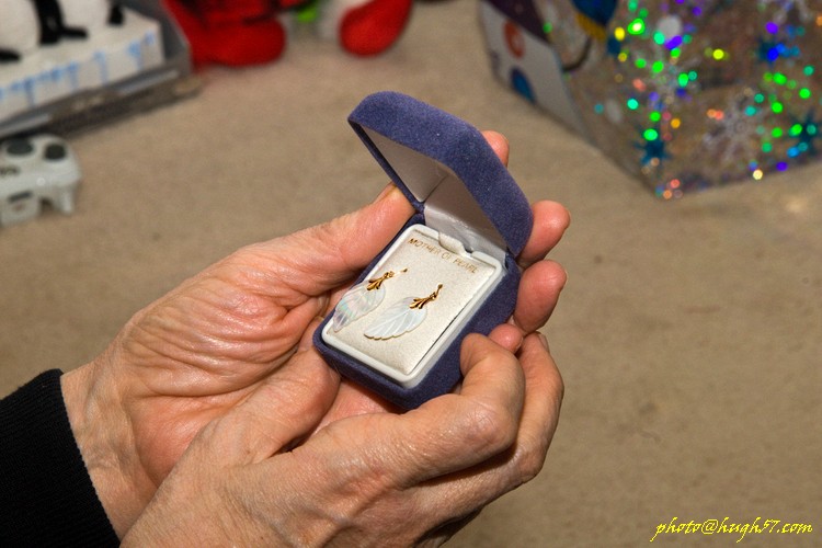 Christmastime in Brimley, MI � 2008