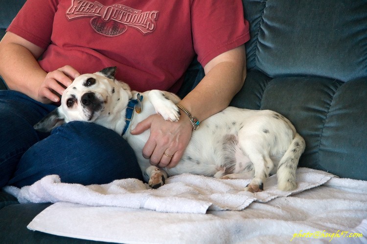 Christmastime in Brimley, MI � 2008