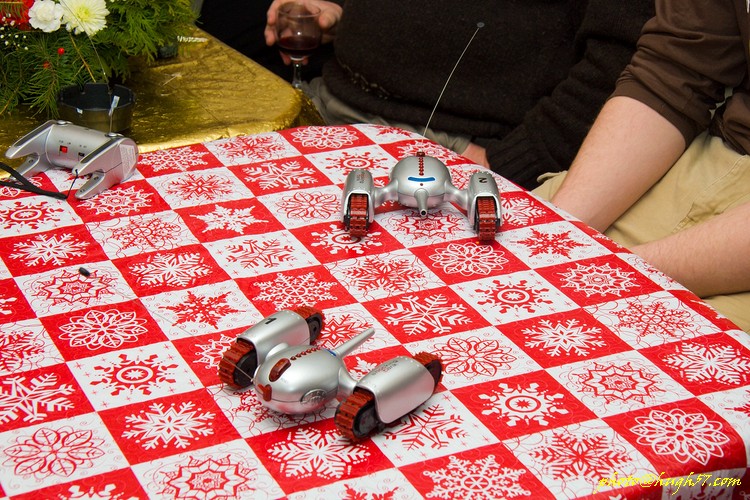 Christmastime in Brimley, MI � 2008