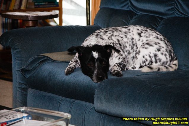 Brimley Christmas '09 Part I