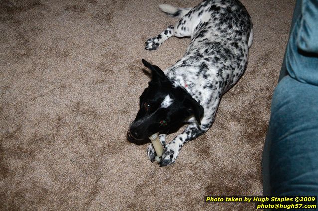 Brimley Christmas '09 Part I