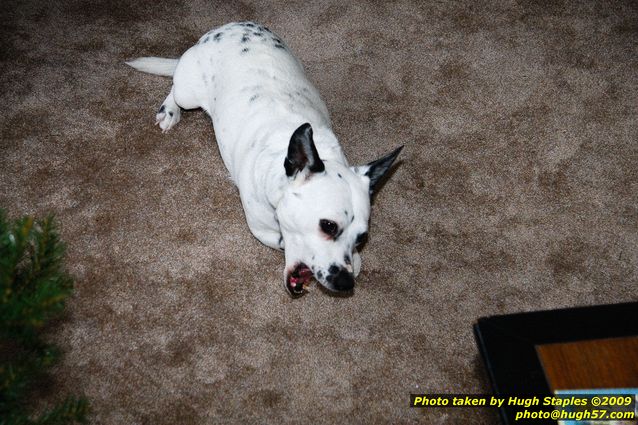 Brimley Christmas '09 Part I