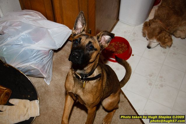 Brimley Christmas '09 Part III