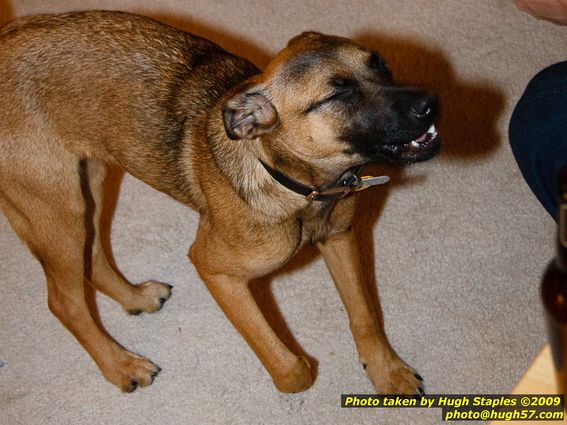 Brimley Christmas '09 Part III