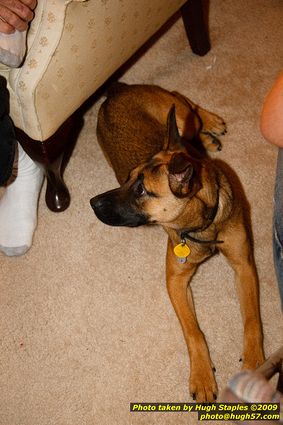 Brimley Christmas '09 Part III