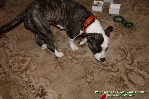 Christmas In Brimley 2010