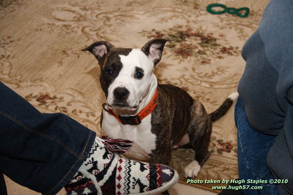 Christmas In Brimley 2010