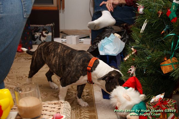 Christmas In Brimley 2010