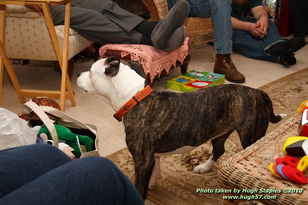 Christmas In Brimley 2010