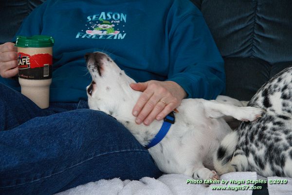 Christmas In Brimley 2010