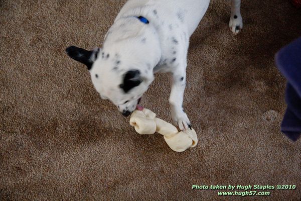 Christmas In Brimley 2010