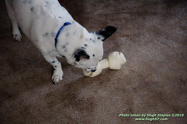 Christmas In Brimley 2010