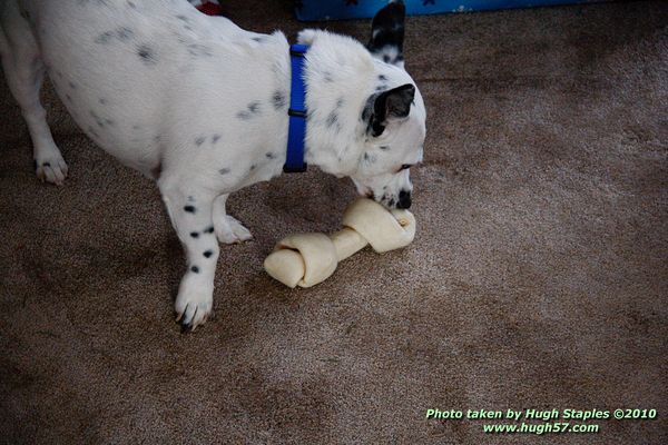 Christmas In Brimley 2010