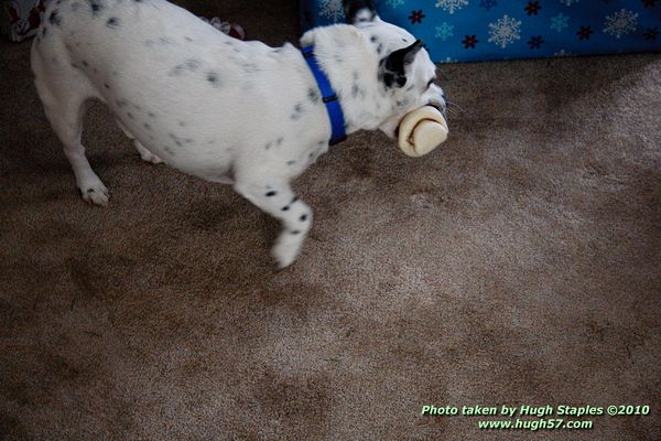 Christmas In Brimley 2010