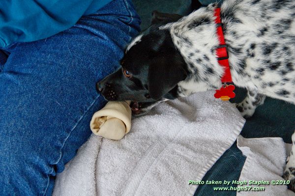 Christmas In Brimley 2010