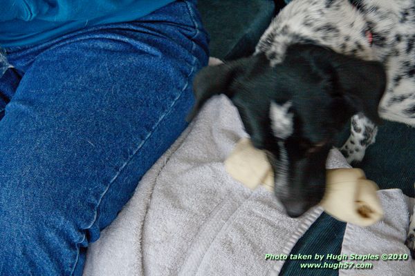 Christmas In Brimley 2010