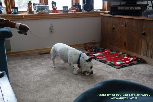 Christmas In Brimley 2010