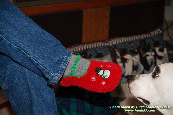 Christmas In Brimley 2010