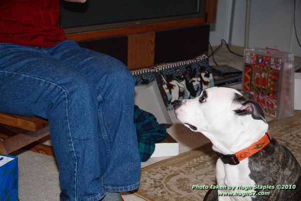 Christmas In Brimley 2010