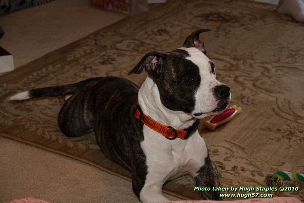 Christmas In Brimley 2010