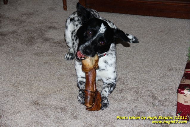 Christmas Day In Brimley 2011