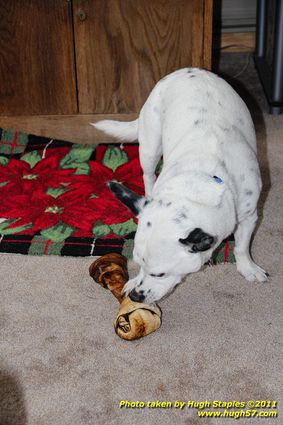 Christmas Day In Brimley 2011