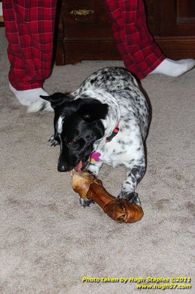 Christmas Day In Brimley 2011