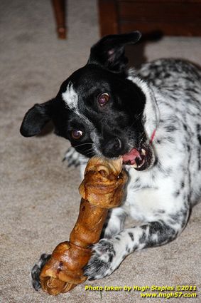 Christmas Day In Brimley 2011