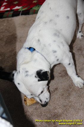 Christmas Day In Brimley 2011