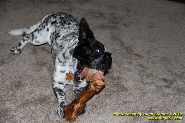 Christmas Day In Brimley 2011