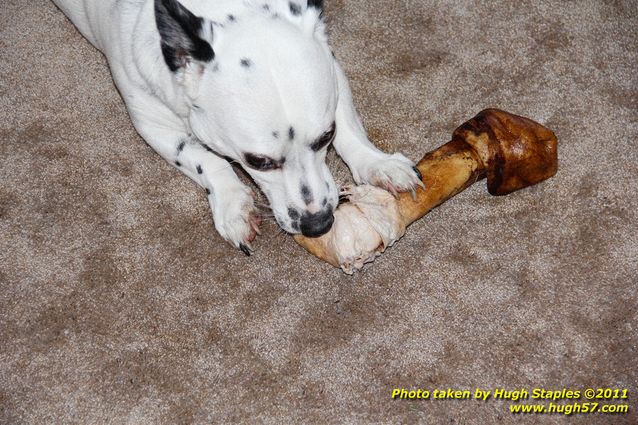 Christmas Day In Brimley 2011