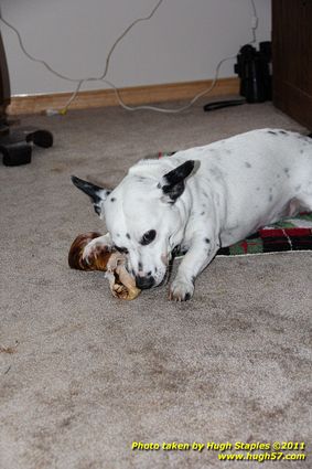 Christmas Day In Brimley 2011