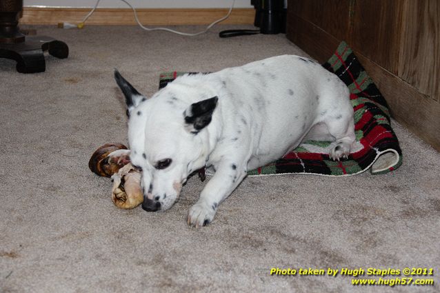 Christmas Day In Brimley 2011