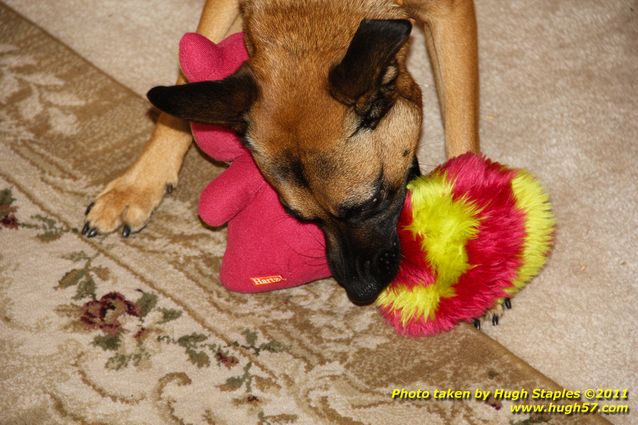 Christmas Day In Brimley 2011