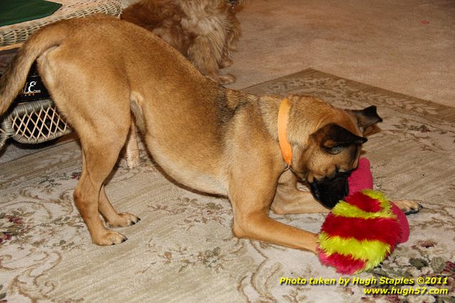 Christmas Day In Brimley 2011