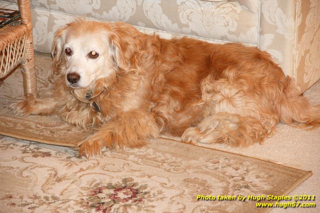 Christmas Eve In Brimley 2011