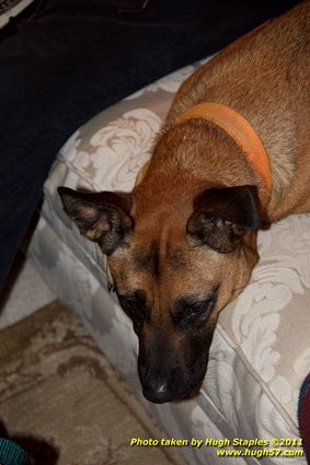 Christmas Eve In Brimley 2011