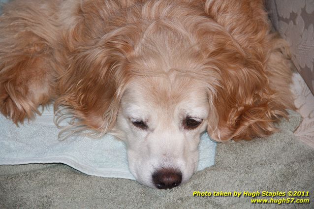 Christmas Eve In Brimley 2011