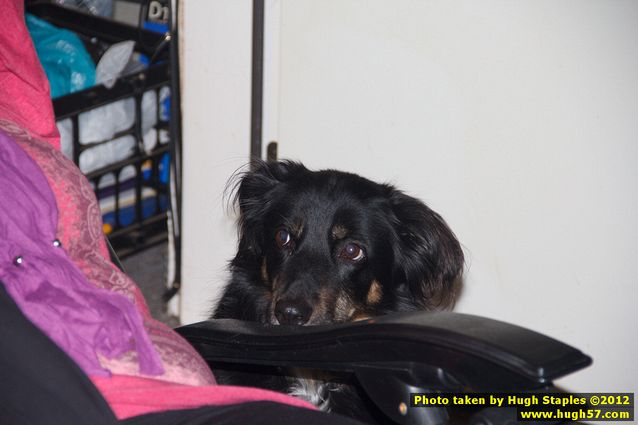 Brimley Christmas 2012