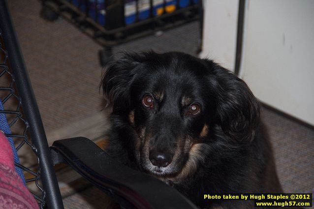 Brimley Christmas 2012