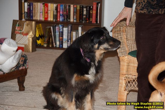 Brimley Christmas 2012