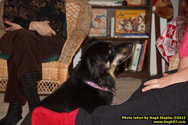 Brimley Christmas 2012