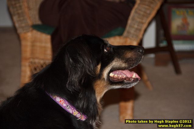 Brimley Christmas 2012