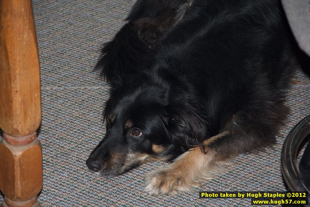 Brimley Christmas 2012