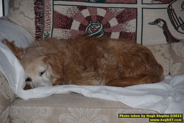 Brimley Christmas 2012