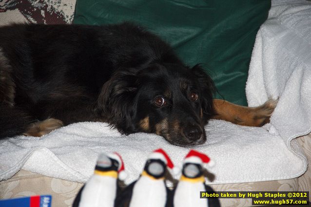 Brimley Christmas 2012